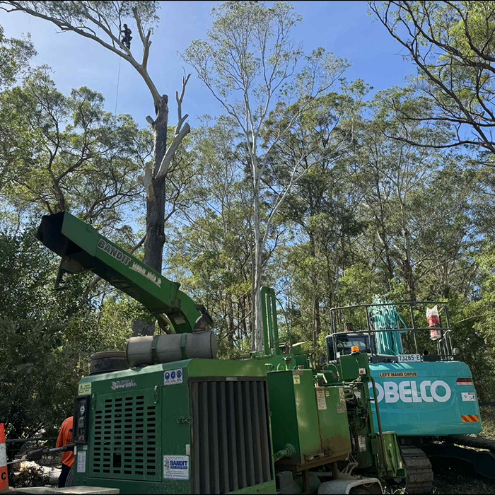 Rudy's Tree Service operator standing beside a Kobelco excavator on a freshly cleared property